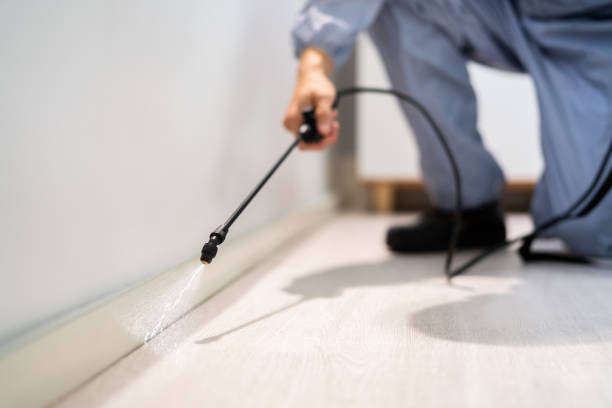 Licensed Mosquito Control service in McChord AFB, WA - Show Me Pest Control