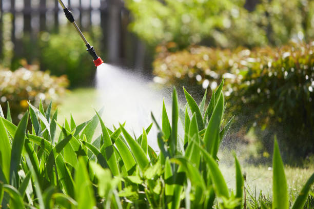 24/7 Emergency Mosquito Control experts in McChord AFB, WA