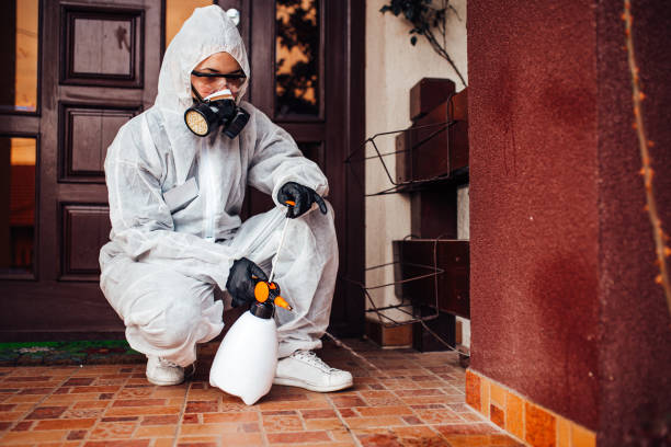 Reliable Mosquito Control contractor in McChord AFB, WA by Show Me Pest Control