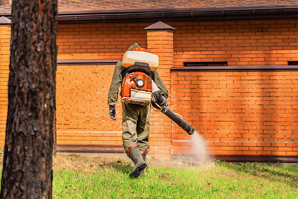 Top rated local Mosquito Control specialists in McChord AFB, WA